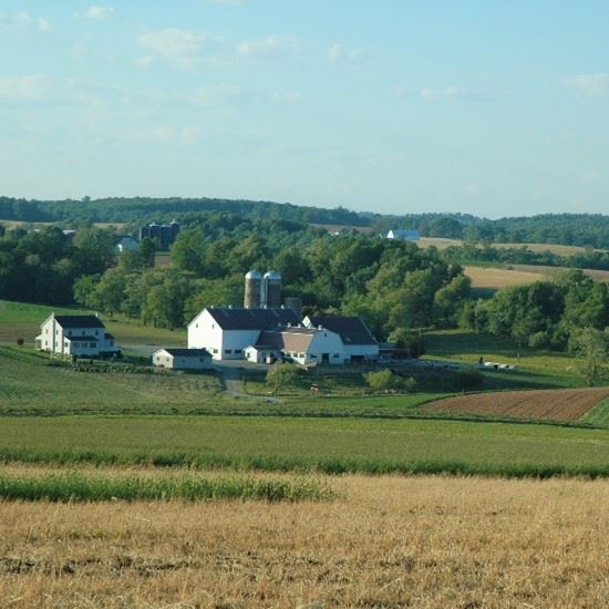 Taking Care of What We Have