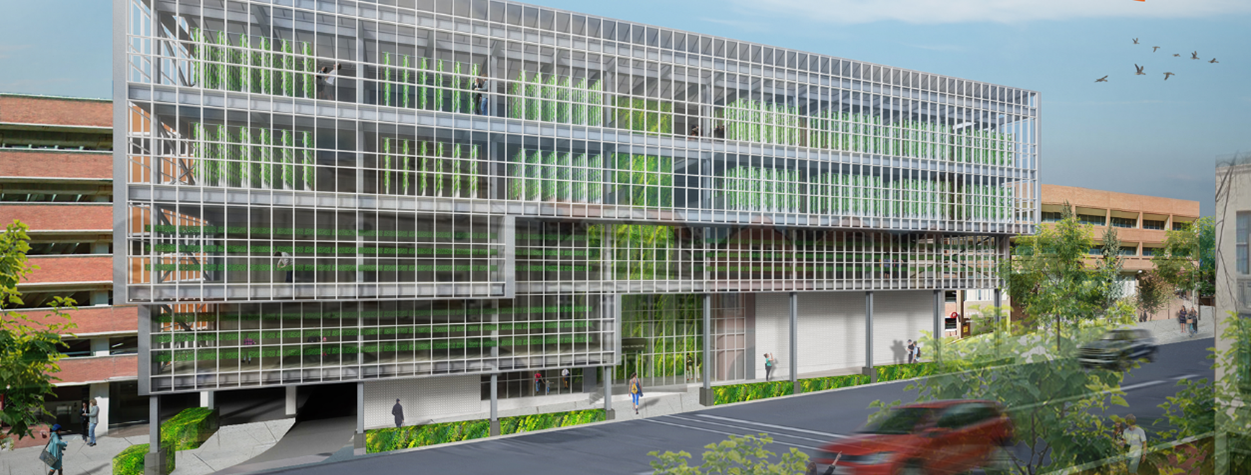 Lancaster Urban Farming